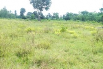 300 Square Yard Residential Plots / Land for Sale in Langha Road, Dehradun